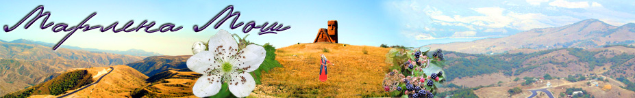 ������� ���: ��������